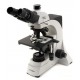 B-500ti Microscope trinoculaire, objectifs Plan IOS 4x, 10x, 40x, 100x, X-LED - OPTIKA