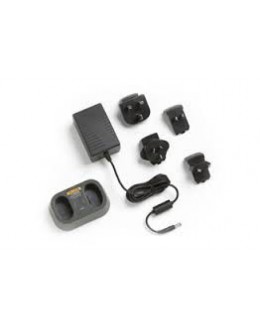 Chargeur de batterie double pour caméras FLUKE TI 200 300 400 - FLK-TI-SBC3B -