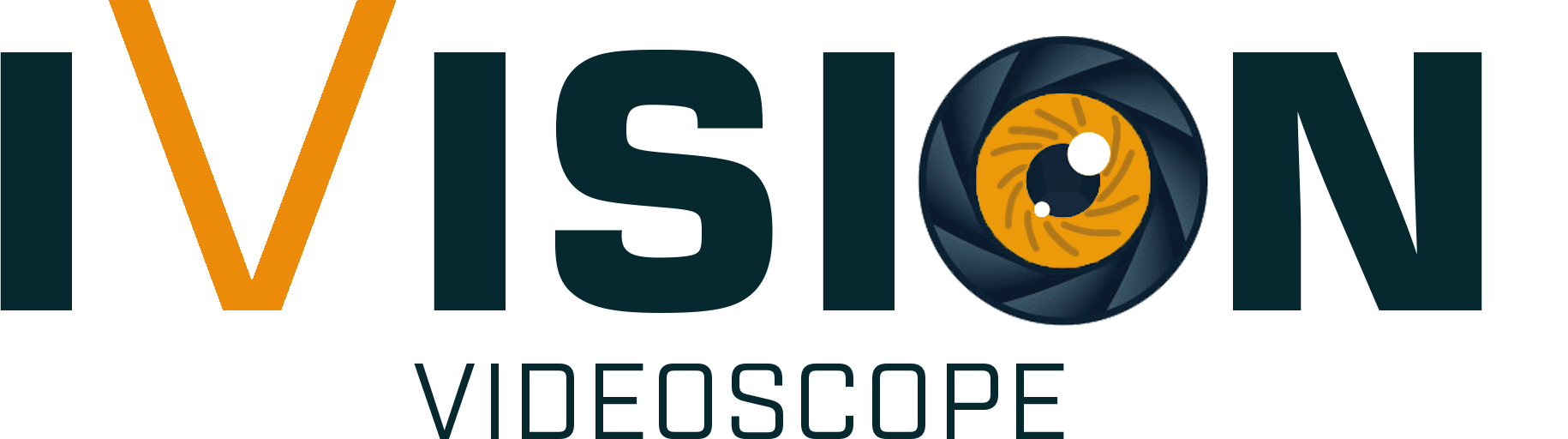 logo iVision Videoscope